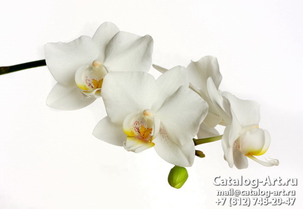 Натяжные потолки с фотопечатью - Белые орхидеи 23
